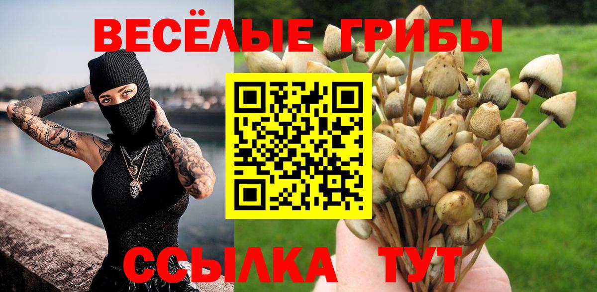 Галлюциногенные грибы прущие грибы Каспийск